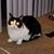 Woneda Stockam's profile image