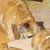 Julie Leonard's profile image
