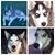 Deborah Sita's profile image