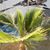 Darlene Hutchinson Farley's profile image