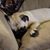 Darlene Ann Bargmann Prickett's profile image