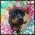 Debbie Krueger Sparks's profile image