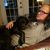 Kelleigh Lewis Moulton's profile image