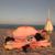 Donna Carter's profile image