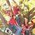 Cathy Cavanaugh's profile image