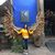 Almita Gonzalez's profile image