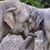 Rapal Deshan's profile image
