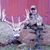 Mark Clifford's profile image