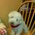 Alondra Madera's profile image