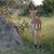 Brenda Blackwelder's profile image