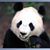 Kathy Rupp's profile image