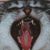Lorrie Moore's profile image