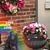 Sharon Wright Guswiler's profile image
