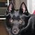 Lori Voss's profile image