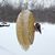 Paula Hetrick Graham's profile image