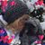 Kathie Woods's profile image