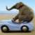 Francine Findley-Bernal's profile image
