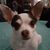 Shelby Alderson's profile image