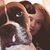 Britt Itshyphenated's profile image