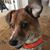 Darryl Berney's profile image