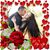 Diana Owen's profile image