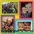 Jaimie Wood-Brewster's profile image