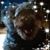 Julie Verran-Rice's profile image