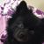 Teresa Eline's profile image