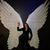 Lolita Jean Brinson's profile image