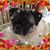 Robin Gerard's profile image