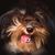 Deborah Kauffeld's profile image