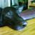 Renee Toback Woods's profile image