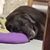 Wende Dawson's profile image