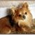 Carol Caswell's profile image
