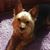 Ann Thorstad-Capadona's profile image