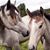Sandy Lynn Price's profile image