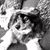 Barbara J Schreiner's profile image