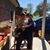 Linda Vestal's profile image