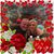 CindyAnd Jesse Fisher's profile image