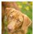 Jess Lyons's profile image