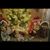 Rhonda Nygren's profile image