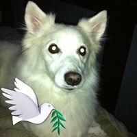 Sue Smith's profile image