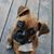 Tricia Alich Ossa's profile image