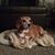 Angie McGrew's profile image