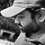 Pravin Vin's profile image