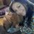 Nancy Ortiz's profile image