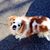 Carol Juliano's profile image