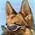 Denise Pratter's profile image