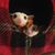 Michael Lancaster's profile image