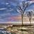Maryjo Chipman's profile image